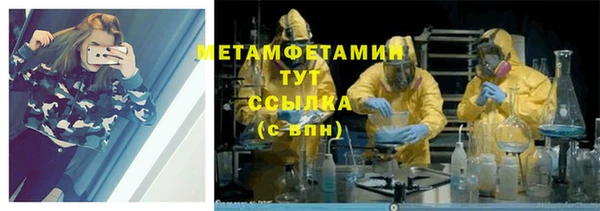 прущие грибы Белоозёрский