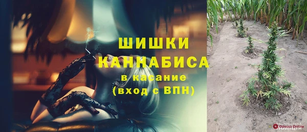 крисы Снежногорск