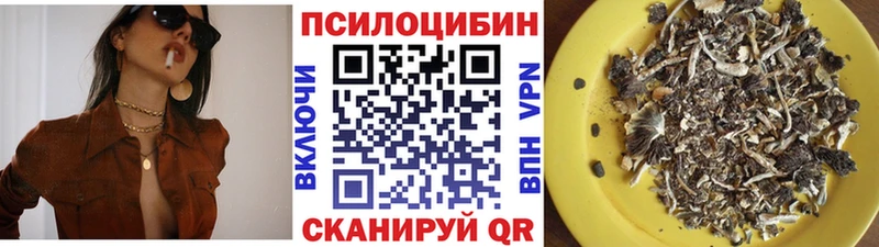 Псилоцибиновые грибы мицелий  Верхняя Тура 